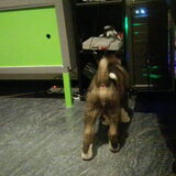 Foto van Jackie en Kiba:)