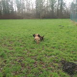 Foto van Jackie en Kiba:)