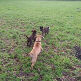 Foto van Jackie en Kiba:)