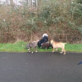 Foto van Jackie en Kiba:)