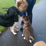 Foto van Jackie en Kiba:)