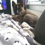 Foto van Jackie en Kiba:)