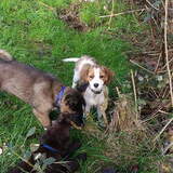 Foto van Jackie en Kiba:)