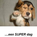 Foto van Anna