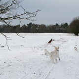 Foto van Hetty & Skipper