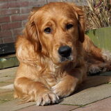 Myla