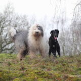 Foto van Naomi