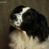 Foto van Angelique; Bruno, Charlie & Fenna