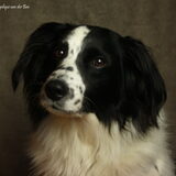 Foto van Angelique; Bruno, Charlie & Fenna