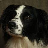 Foto van Angelique; Bruno, Charlie & Fenna