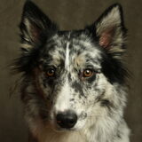 Foto van Angelique; Bruno, Charlie & Fenna