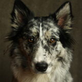 Foto van Angelique; Bruno, Charlie & Fenna