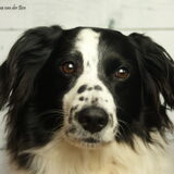 Foto van Angelique; Bruno, Charlie & Fenna
