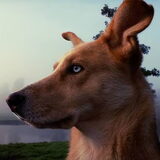 Foto van Demi - Nova, Jairo, Loki & Kaiyu