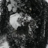 Foto van sylvia