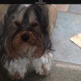 Foto van Anny en Lance