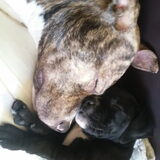 Foto van Bigs&Neo