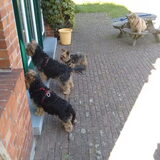 Als ze ergens met z'n allen op mij moeten wachten, is Toshi (de…