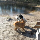 Foto van Doortje & Tibbe