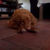 Foto van judith
