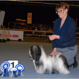Foto van Xtine