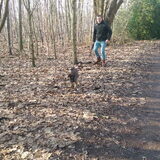 Foto van Jackie en Kiba:)