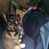 Foto van Jackie en Kiba:)