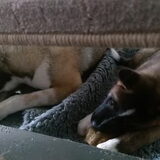 Foto van Jackie en Kiba:)