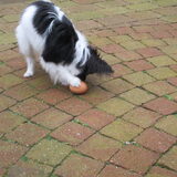 Foto van marijke b