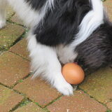 Foto van marijke b