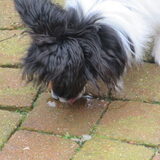 Foto van marijke b