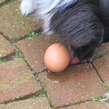 Foto van marijke b