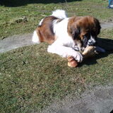 Foto van Coby & Wanda en Mathilde