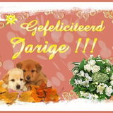 Foto van dorina