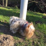 Foto van Anny en Lance