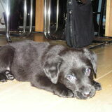 Zo lief!!