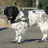 Foto van Sandra, Ozzie (overleden) Iris en Zoë
