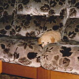 Foto van fabienne