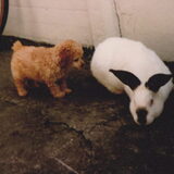 Foto van fabienne
