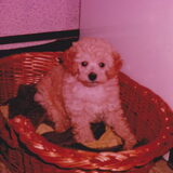 Foto van fabienne