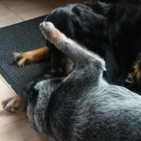 Foto van fabienne