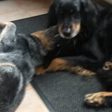 Foto van fabienne
