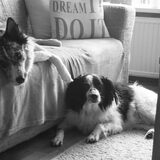 Foto van Angelique; Bruno, Charlie & Fenna