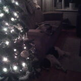 Foto van Angelique; Bruno, Charlie & Fenna