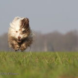 Racen!!!