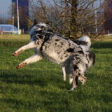 Foto van Angelique; Bruno, Charlie & Fenna