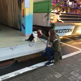 Kermis