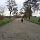 Foto van Ciska en Spanjaardje Moh (Bambi r.i.p.)