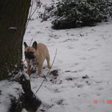 heerlijk die sneeuw