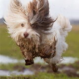 Toby in actie! :p